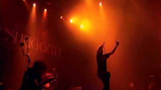 Meshuggah  Rational Gaze Live in Tokyo  Alive [upl. by Oicelem]