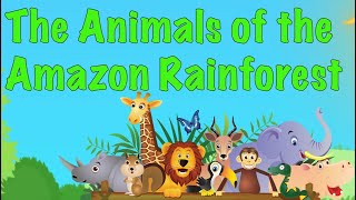 The Animals of the Amazon Rainforest for kids [upl. by Brook169]