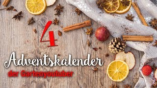 Adventskalender der Gartenyoutuber  4 Türchen [upl. by Ogirdor]