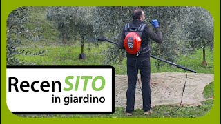 Test scuotitore  abbacchiatore per la raccolta delle olive Brumi Ghibli900 [upl. by Aikin]