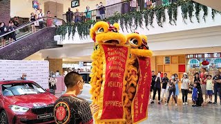 Lion Dance in Westfield Hurstville Sydney  Lunar New Year 2021 Celebration in Australia [upl. by Amorita365]