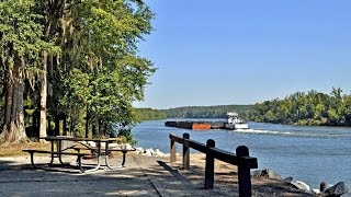 Tombigbee River Action [upl. by Bratton]