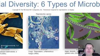 Chapter 1 Introduction to Microbiology [upl. by Nabi143]