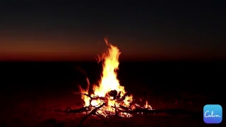 Camp Fire Soundscape for for Relaxing Focus or Deep Sleep [upl. by Vescuso629]