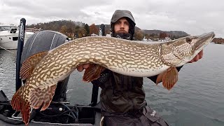 Pesca a Spinning ai GRANDI LUCCI del Lago Maggiore  Big Pike Fishing [upl. by Assile277]