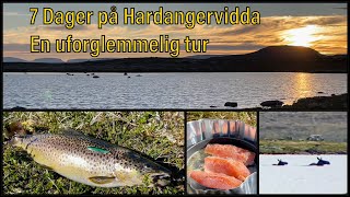 Hardangervidda  Fisketur  Sant [upl. by Ahsak726]