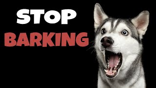 High Pitched Dog Whistle Sound To Stop Dogs Barking [upl. by Cheffetz616]