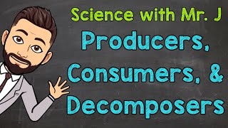 Producers Consumers and Decomposers  Ecosystems [upl. by Notsud]