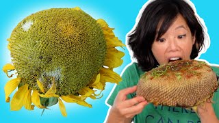 🌻 How to Eat a SUNFLOWER HEAD [upl. by Devine]