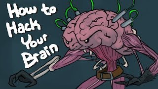 How To Hack Your Brain  Top 6 Nootropics [upl. by Nahum]