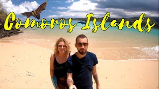 The Comoros Islands wildlife adventures in Moheli and Moroni [upl. by Haramat33]