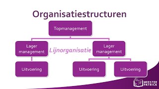 Organisatiestructuren  Bedrijfseconomie [upl. by Eittel]