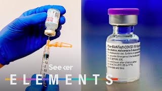 What’s In the Pfizer amp Moderna COVID Vaccines [upl. by Neelahtak]