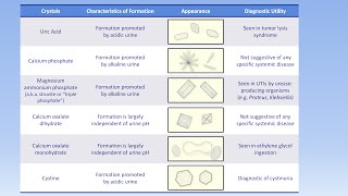 Interpretation of the Urinalysis Part 3  Microscopy and Summary [upl. by Fonz]