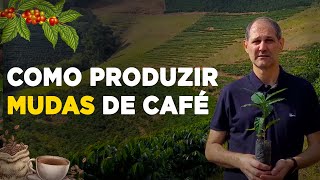 COMO PRODUZIR MUDAS DE CAFÉ [upl. by Adara]