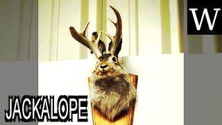 JACKALOPE  WikiVidi Documentary [upl. by Carmine]