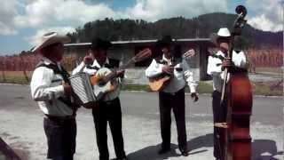 Grupo Norteño COVER Muchacho Alegre [upl. by Willock]