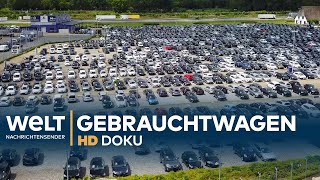 Heiligs Blechle  Deutschlands größter Gebrauchtwagenhandel  Doku [upl. by Ferino951]