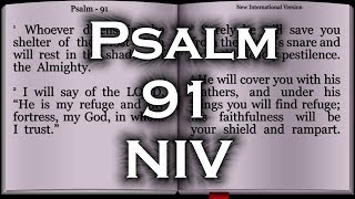 Psalm 91  New International Version NIV [upl. by Naamana754]