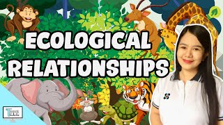 Ecological Relationships Predation Commensalism Mutualism Parasitism Competition  Biology [upl. by Ettari]