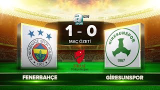 Fenerbahçe 10 Giresunspor  Maç özeti [upl. by Alphard]