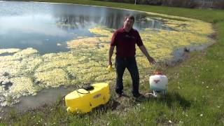 Controlling Algae in Farm Ponds [upl. by Javler183]