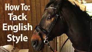 How to Saddle a Horse English Style  Jeffers Equine [upl. by Akemrej]