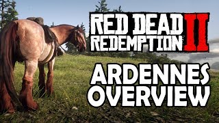 Ardennes Overview  Red Dead Redemption 2 Horses [upl. by Ydnyc]