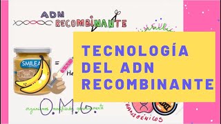 Tecnología del ADN Recombinante [upl. by Goulden]