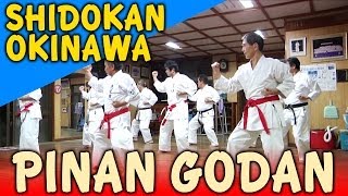 PINAN GODAN  OKINAWA SHIDOKAN shorin ryu [upl. by Jody]