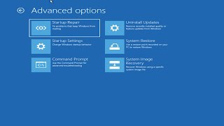 Windows 11 Blue Screen Error Critical Process Died FIX Complete Solution [upl. by Uriia]