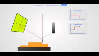 AFM Principle Basic Training [upl. by Yeroc1]