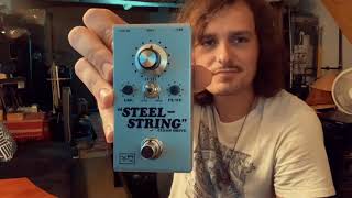 Vertex Steel String MKII Clean Overdrive  Demo [upl. by Eninahs]