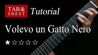 Volevo un Gatto Nero  Fingerstyle Lesson  TAB [upl. by Leopoldeen]