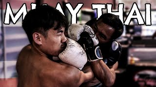 THEY BROKE ME  Muay Thai Training Camp in Bangkok 1 [upl. by Ynahpets922]