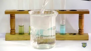 Food Tests  Iodine Biuret Benedicts Ethanol DCPIP [upl. by Aihtennek192]