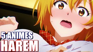 5 ANIMES HAREM ESCOLARES ECCHI ROMANTICOS QUE VALEN LA PENA VER  Animes recomendados 2020 [upl. by Acnoib]