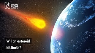 Will an asteroid hit Earth  Natural History Museum [upl. by Yekcim]