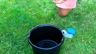 How to apply Beneficial Nematodes  March Biological [upl. by Corrinne625]