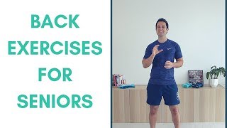 Essential Lower Back Exercises for Seniors [upl. by Notreve61]