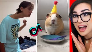 TikTok Funniest Memes [upl. by Nicolas]