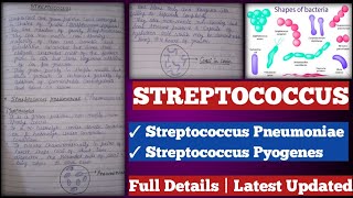 Streptococcus  streptococcus Pyogenes  streptococcus pneumoniae [upl. by Alvy600]