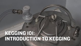 Northern Brewer University  Kegging 101 Intro to Kegging Trailer [upl. by Ilaire141]