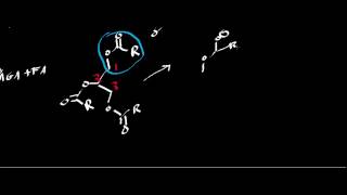 Biochemistry  Lipases [upl. by Folger634]