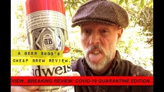 Budweiser Beer Review by A Beer Snobs Cheap Brew Review [upl. by Arlon]