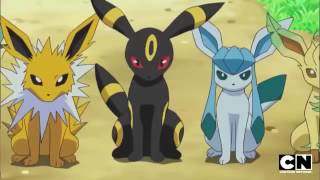 Eevee Evolutions  different possible evolutions fo Eevee  Elite pokemon [upl. by Yrreb]