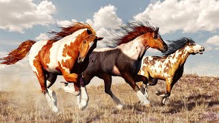 Wild Horses Natures Survivors in North America [upl. by Auhsuoj]