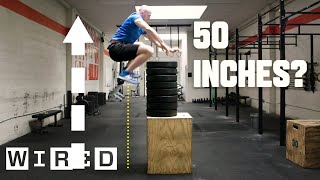 Why Its Almost Impossible to Jump Higher Than 50 Inches  WIRED [upl. by Lauri]