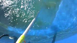 Cleaning Algae from a Fiberglass Pool [upl. by Hembree322]