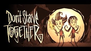 Dont Starve Together How to play using Hamachi [upl. by Musetta]